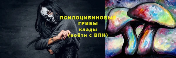 шишки Алзамай