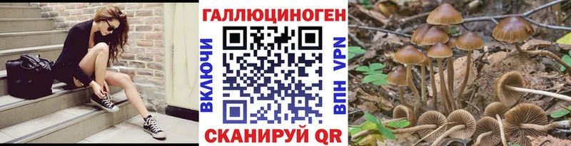Псилоцибиновые грибы Psilocybe  Александров 