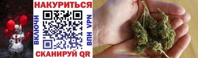 OMG онион  Александров  Конопля VHQ 